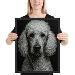 Close-up portrait of a poodle with water droplets on its curly fur against a black background in dramatic lighting.