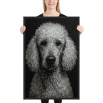 Close-up portrait of a poodle with water droplets on its curly fur against a black background in dramatic lighting.