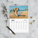 Calendar for June 2026 featuring a dog on a beach, placed on a textured surface with decorative items.
